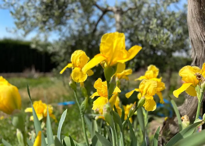 Villa Rustica En La Alpujarra - La Gualalla - Soportujar